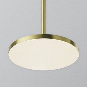 Подвесной светильник Maytoni Plato P076PL-L12W4K-BS в Соликамске - solikamsk.ok-mebel.com | фото 7