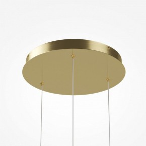 Подвесной светильник Maytoni Sirocco MOD359PL-L17BS3K в Соликамске - solikamsk.ok-mebel.com | фото 6