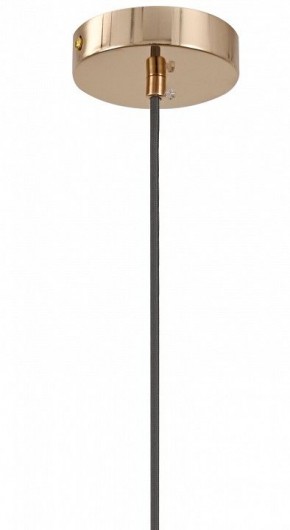 Подвесной светильник Moderli Charm V11176-1P в Соликамске - solikamsk.ok-mebel.com | фото 8