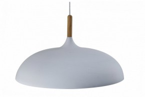 Подвесной светильник Moderli Hygo V11447-1P в Соликамске - solikamsk.ok-mebel.com | фото