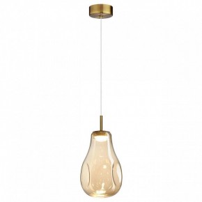 Подвесной светильник Odeon Light Nave 5098/4L в Соликамске - solikamsk.ok-mebel.com | фото 2