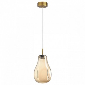 Подвесной светильник Odeon Light Nave 5098/4L в Соликамске - solikamsk.ok-mebel.com | фото 4