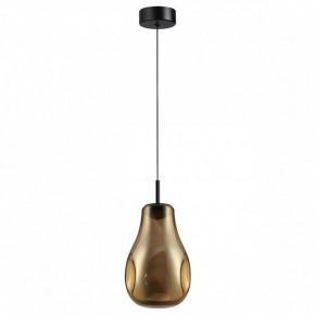 Подвесной светильник Odeon Light Nave 5098/4LA в Соликамске - solikamsk.ok-mebel.com | фото 4