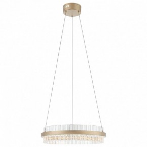 Подвесной светильник ST-Luce Cherio SL383.203.01 в Соликамске - solikamsk.ok-mebel.com | фото 3
