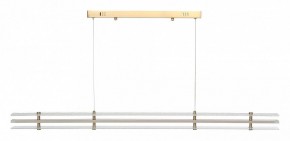 Подвесной светильник ST-Luce FAGY SL6245.223.01 в Соликамске - solikamsk.ok-mebel.com | фото 3