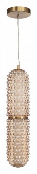 Подвесной светильник ST-Luce SAGUARO SL6144.303.01 в Соликамске - solikamsk.ok-mebel.com | фото 3
