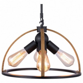 Подвесной светильник TopLight Jasmin TL1179H-04BK в Соликамске - solikamsk.ok-mebel.com | фото
