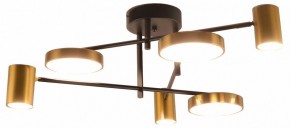 Потолочная люстра Kink Light Рапис 07645-6D,19(20) в Соликамске - solikamsk.ok-mebel.com | фото