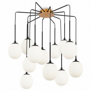 Потолочная люстра Maytoni Branch MOD176PL-12G в Соликамске - solikamsk.ok-mebel.com | фото 3