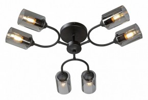 Потолочная люстра Vitaluce V2823 V2823-1/6PL в Соликамске - solikamsk.ok-mebel.com | фото 2