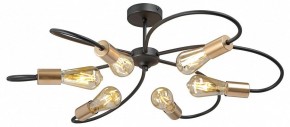 Потолочная люстра Vitaluce V3076 V3076-1/6PL в Соликамске - solikamsk.ok-mebel.com | фото 3