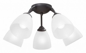 Потолочная люстра Vitaluce V3184 V3737-2/5PL в Соликамске - solikamsk.ok-mebel.com | фото