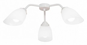 Потолочная люстра Vitaluce V31950 V31950/3PL в Соликамске - solikamsk.ok-mebel.com | фото