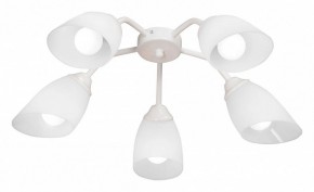 Потолочная люстра Vitaluce V31950 V31950/5PL в Соликамске - solikamsk.ok-mebel.com | фото