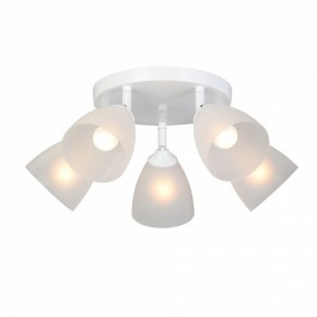 Потолочная люстра Vitaluce V4355 V4355-0/5PL в Соликамске - solikamsk.ok-mebel.com | фото 2