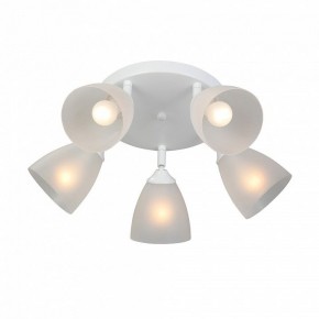 Потолочная люстра Vitaluce V4355 V4355-0/5PL в Соликамске - solikamsk.ok-mebel.com | фото 3