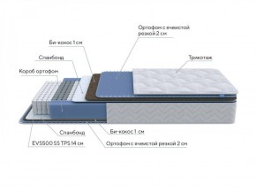 PROxSON Матрас Active Comfort M (Ткань Трикотаж Эко) 80x200 в Соликамске - solikamsk.ok-mebel.com | фото 7