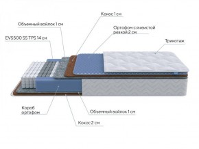 PROxSON Матрас Active Duo M/F (Ткань Трикотаж Эко) 120x190 в Соликамске - solikamsk.ok-mebel.com | фото 6