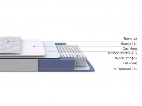 PROxSON Матрас Active Duo S/F (Ткань Трикотаж Эко) 160x195 в Соликамске - solikamsk.ok-mebel.com | фото