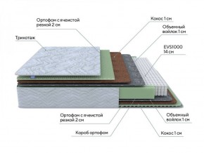 PROxSON Матрас Green M (Tricotage Dream) 120x195 в Соликамске - solikamsk.ok-mebel.com | фото 7