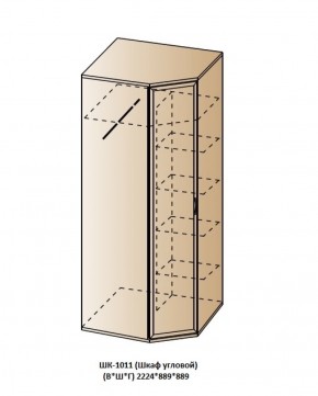 ШК-1011 (Шкаф угловой) в Соликамске - solikamsk.ok-mebel.com | фото