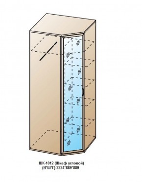 ШК-1012 (Шкаф угловой) в Соликамске - solikamsk.ok-mebel.com | фото