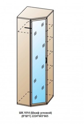 ШК-1014 (Шкаф угловой) в Соликамске - solikamsk.ok-mebel.com | фото