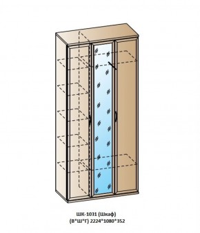 ШК-1031 (Шкаф) в Соликамске - solikamsk.ok-mebel.com | фото