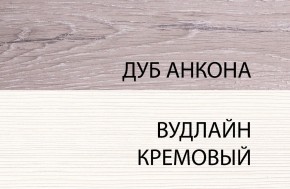 Шкаф 1DG, OLIVIA, цвет вудлайн крем/дуб анкона в Соликамске - solikamsk.ok-mebel.com | фото 3
