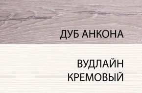 Шкаф 1DW, OLIVIA, цвет вудлайн крем/дуб анкона в Соликамске - solikamsk.ok-mebel.com | фото 3