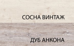 Шкаф 2D1S, MONAKO, цвет Сосна винтаж/дуб анкона в Соликамске - solikamsk.ok-mebel.com | фото 1