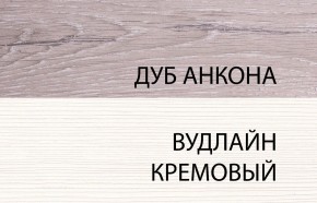 Шкаф 2DG, OLIVIA, цвет вудлайн крем/дуб анкона в Соликамске - solikamsk.ok-mebel.com | фото 3