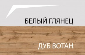 Шкаф 2DG с полками, TAURUS, цвет белый/дуб вотан в Соликамске - solikamsk.ok-mebel.com | фото 4