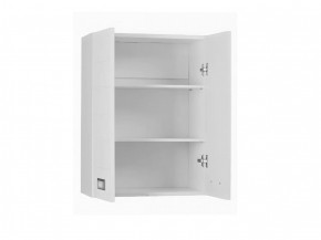 Шкаф Cube - 2 50 Домино (DC5016H) в Соликамске - solikamsk.ok-mebel.com | фото 2
