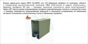 Шкаф-купе 1500 серии NEW CLASSIC K3+K3+B2+PL1 (2 ящика+1 штанга) профиль «Капучино» в Соликамске - solikamsk.ok-mebel.com | фото 5