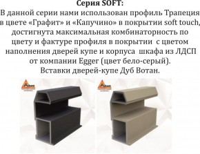 Шкаф-купе 1800 серии SOFT D1+D3+B2+PL1 (2 ящика+1штанга) профиль «Графит» в Соликамске - solikamsk.ok-mebel.com | фото 11