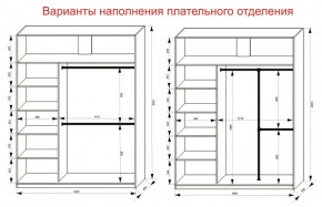 Шкаф-купе 1800 серии SOFT D1+D3+B2+PL1 (2 ящика+1штанга) профиль «Графит» в Соликамске - solikamsk.ok-mebel.com | фото 7