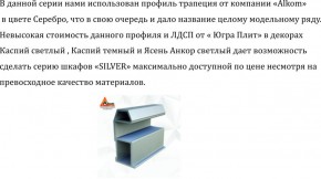 Шкаф-купе 2250 серии SILVER S3+S1+S3Z B22+PL2 (по 2 ящика лев/прав+1штанга+1 полка) профиль «Серебро» в Соликамске - solikamsk.ok-mebel.com | фото 4