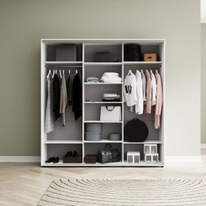 Шкаф-купе Акцент-Сим ДЗ 1500-600 в Соликамске - solikamsk.ok-mebel.com | фото 2