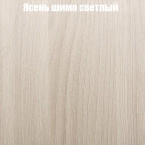 Шкаф-купе «ТАНДЕМ» 2-х дверный в алюминиевом профиле (Дверь К+К) 1800/h2200 в Соликамске - solikamsk.ok-mebel.com | фото 6