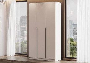 Шкаф платяной Даиго в Соликамске - solikamsk.ok-mebel.com | фото 2