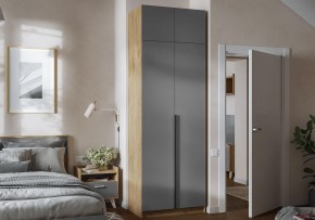 Шкаф платяной Широн в Соликамске - solikamsk.ok-mebel.com | фото 4