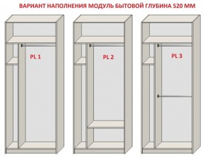 Шкаф распашной серия «ЗЕВС» (PL3/С1/PL2) Серый камень/Небраска натуральный в Соликамске - solikamsk.ok-mebel.com | фото 5