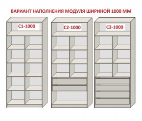 Шкаф распашной серия «ЗЕВС» (PL3/С1/PL2) Серый камень/Небраска натуральный в Соликамске - solikamsk.ok-mebel.com | фото 7