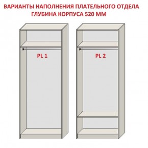 Шкаф распашной серия «ЗЕВС» (PL3/С1/PL2) Серый камень/Небраска натуральный в Соликамске - solikamsk.ok-mebel.com | фото 9