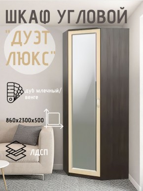 Шкаф угловой Дуэт Люкс с зеркалом в Соликамске - solikamsk.ok-mebel.com | фото 5
