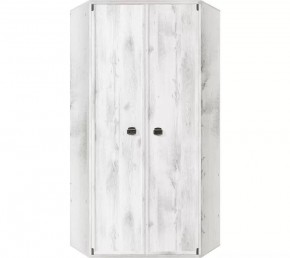 Шкаф угловой JSZFN 2d (МС Индиана) сосна каньон в Соликамске - solikamsk.ok-mebel.com | фото