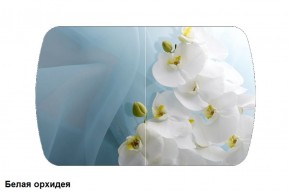 Стол Бостон 900*600 (опоры Брифинг) Стекло/фотопечать Белая Орхидея в Соликамске - solikamsk.ok-mebel.com | фото