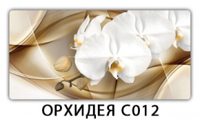 Стол раздвижной Трилогия с фотопечатью Орхидея C012 в Соликамске - solikamsk.ok-mebel.com | фото 13