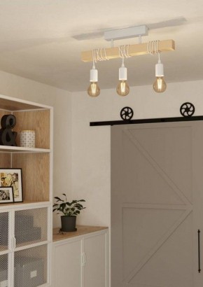 Светильник на штанге Eglo TOWNSHEND 44082 в Соликамске - solikamsk.ok-mebel.com | фото 2